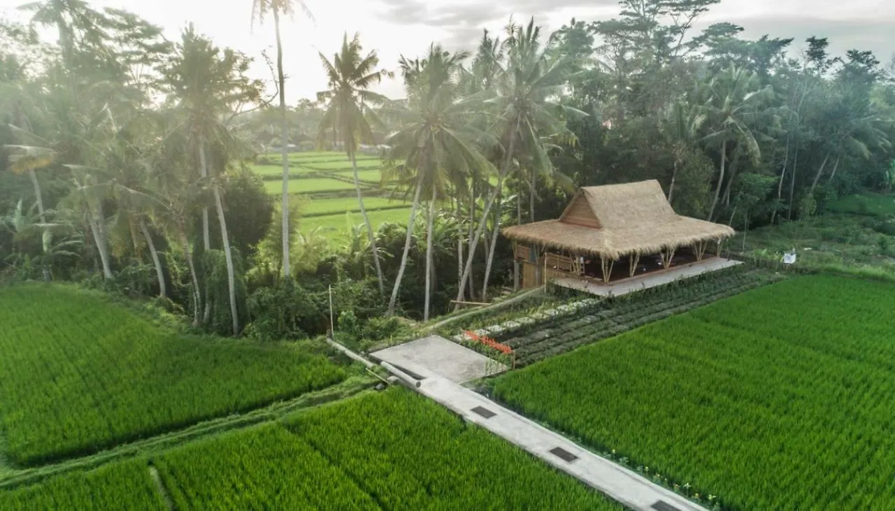 Omah D'Sepih Hotel Ubud  0*, Ubud (Bali)