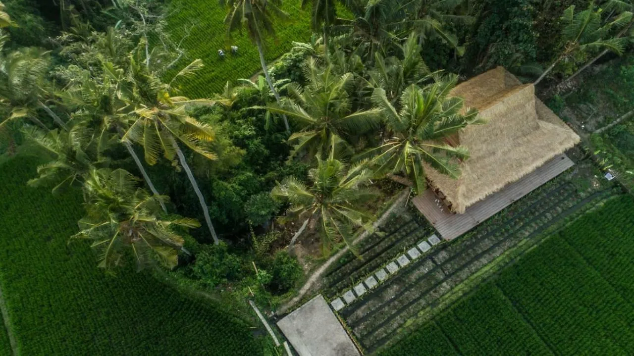 Omah D'Sepih Hotel Ubud