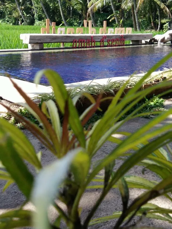 Omah D'Sepih Hotel Ubud  Ubud (Bali)